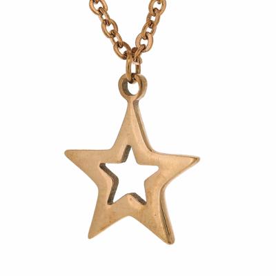 Nova Steel Rose Gold Star Necklace