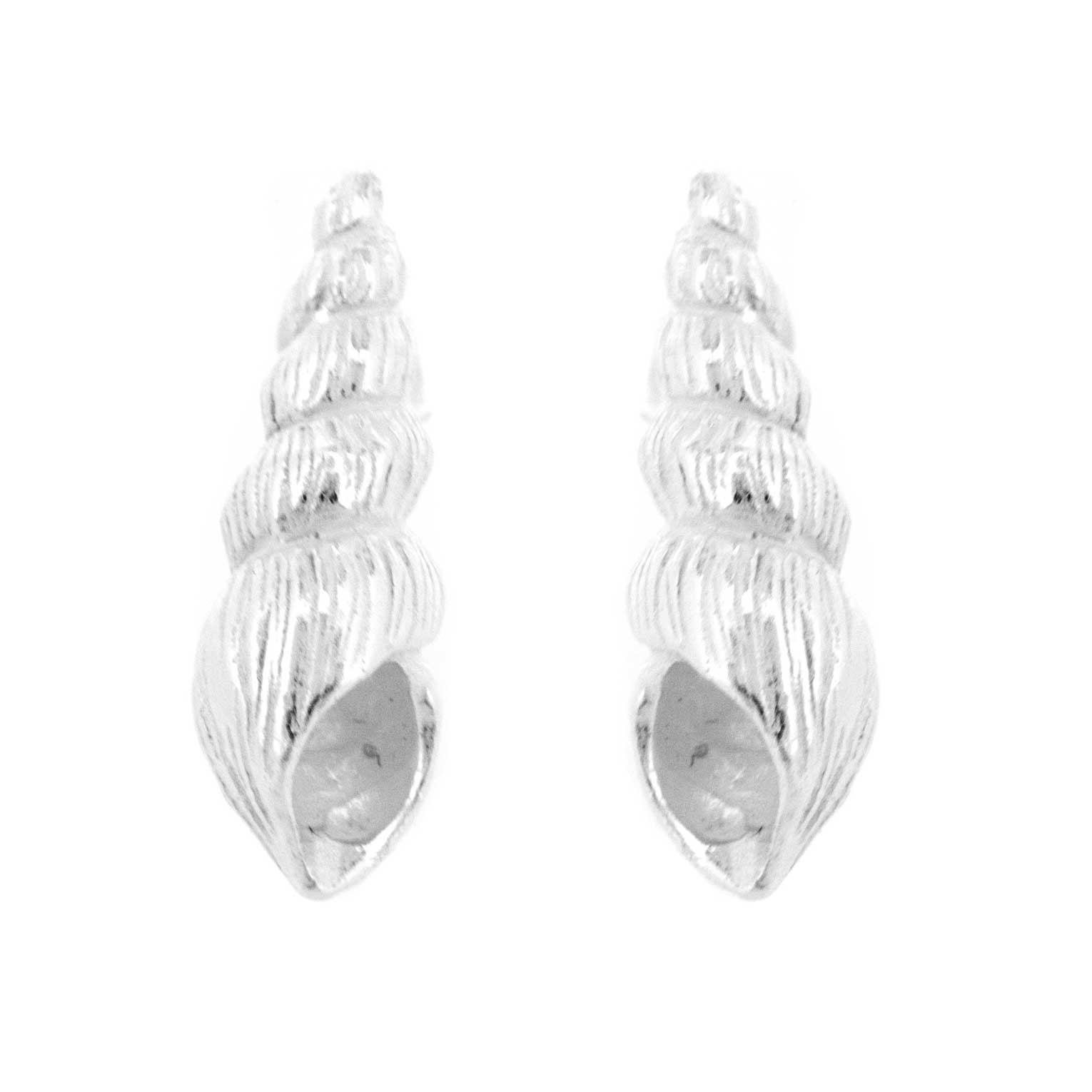 Silver Creation Auger Shell Studs