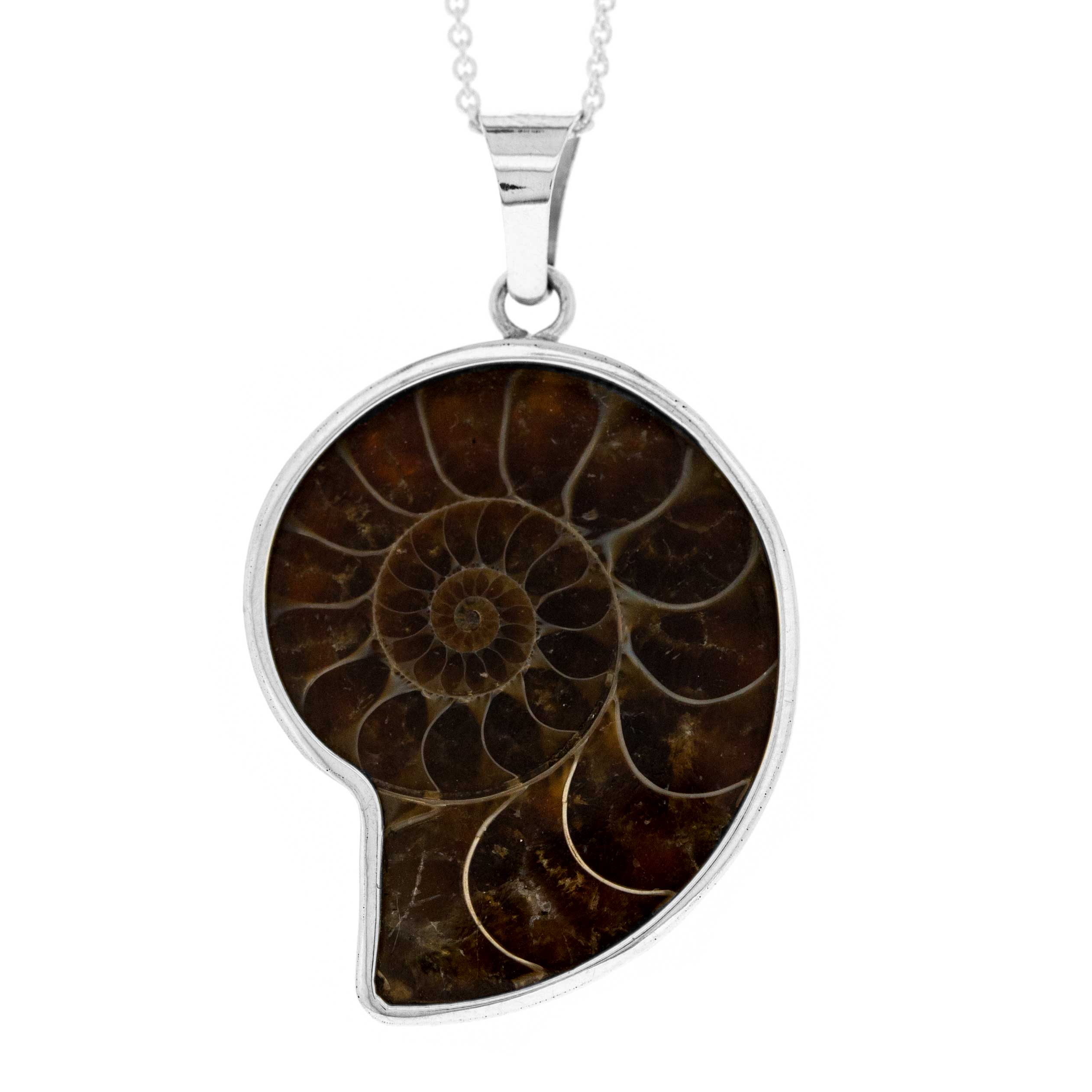 Bemine Medium Ammonite Pendant