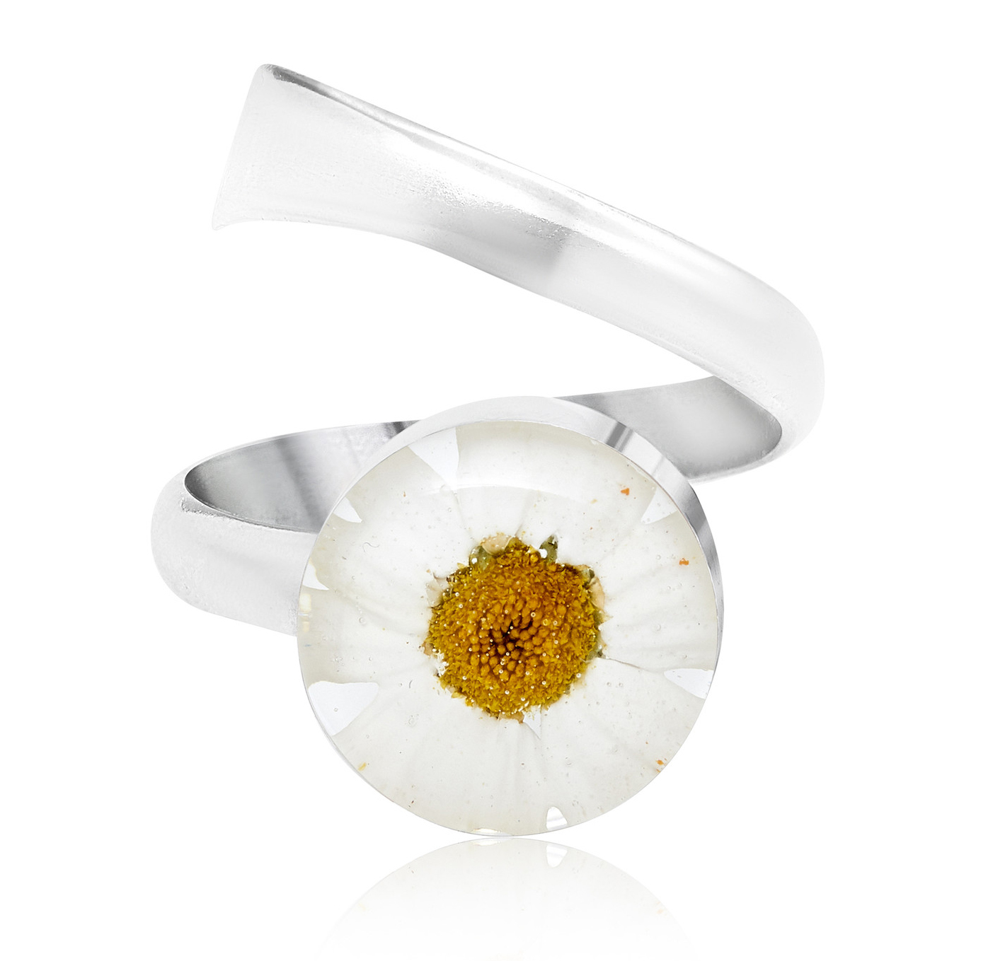 Shrieking Violet Daisy  Round Ring