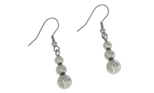 Stainless Steel Earrings