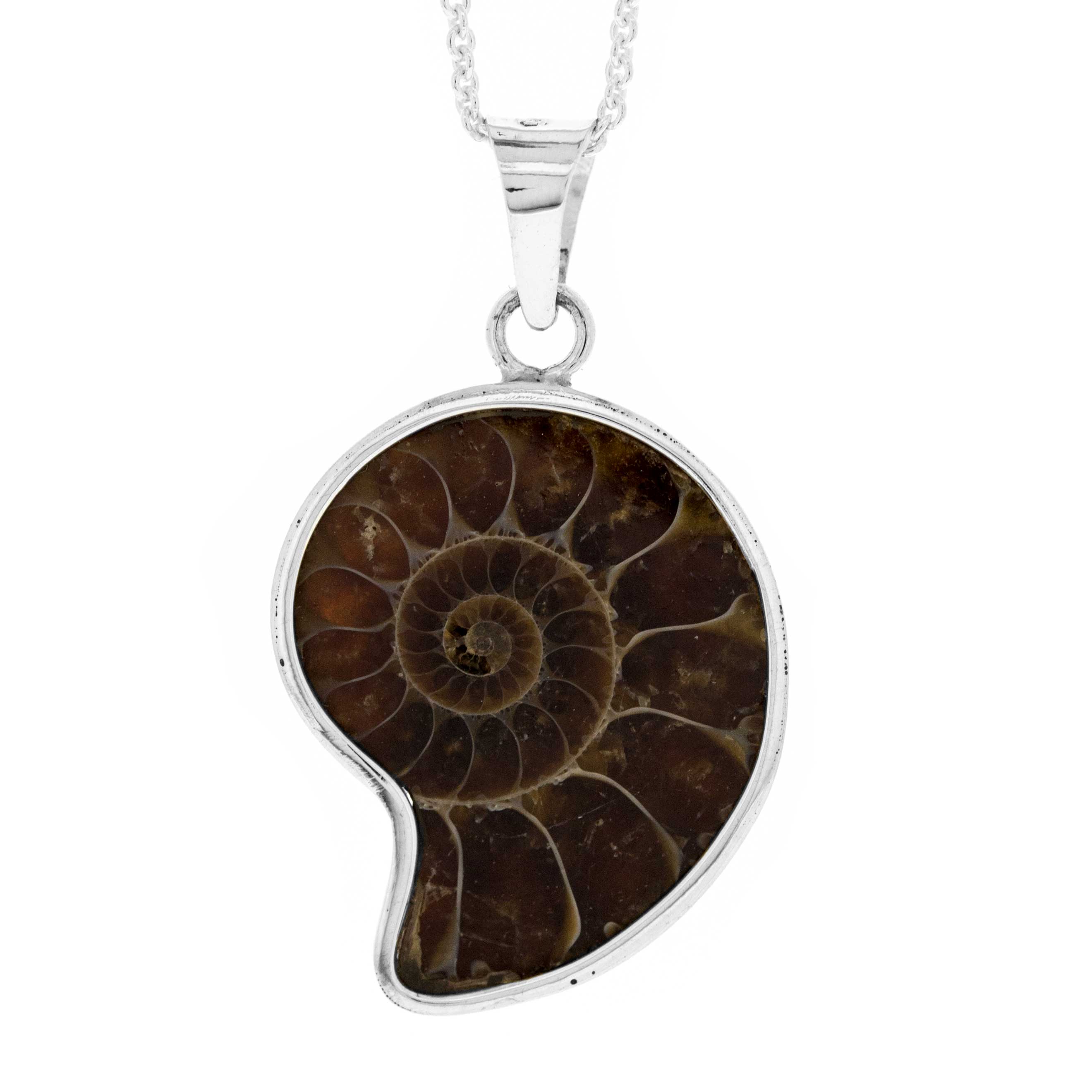 Bemine Small Ammonite Pendant