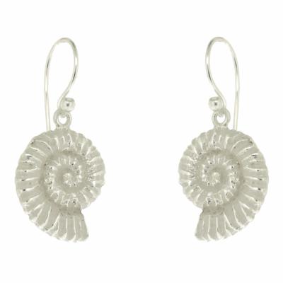 Kitten Ammonite Drop Earrings